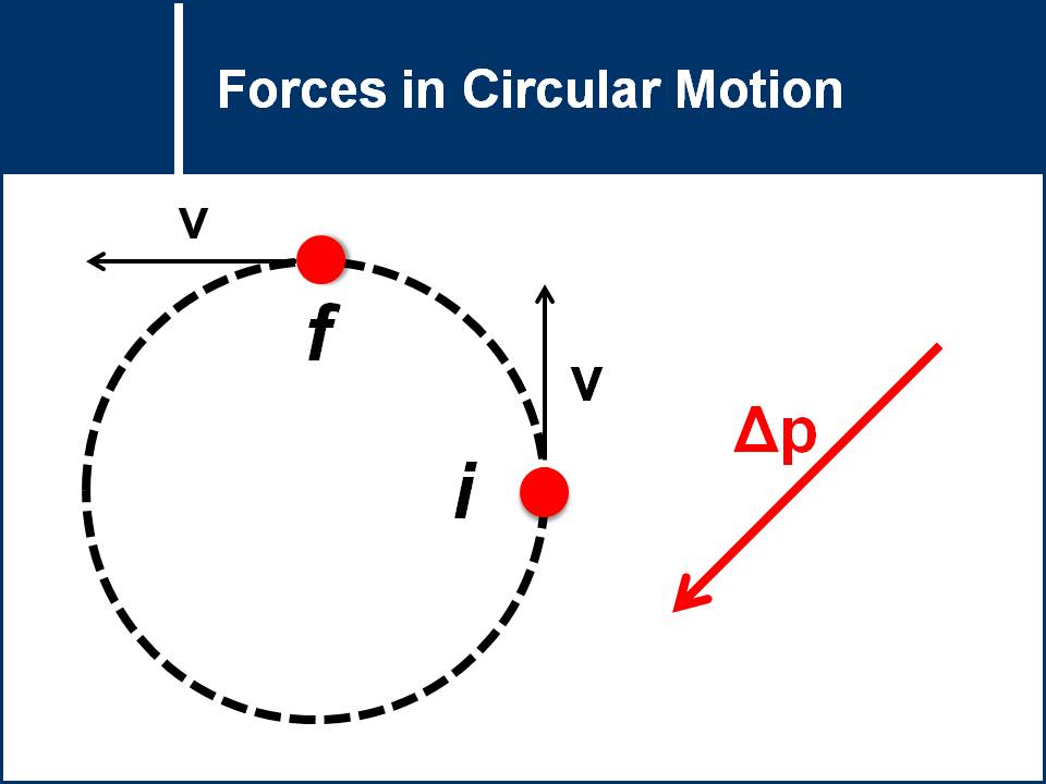 ap physics 1 homework forces in circular motion